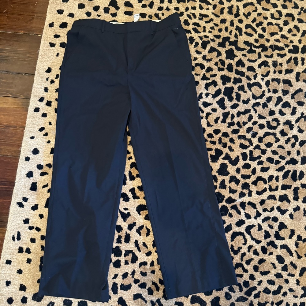 Navy Zara Slacks